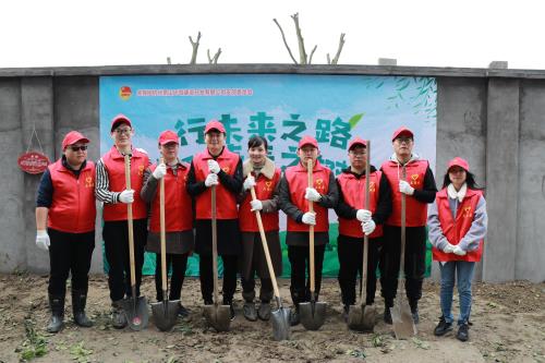 行未来之路，，，，，，种青春之树 - 公司新闻 -杭州萧山环城建设有限公司