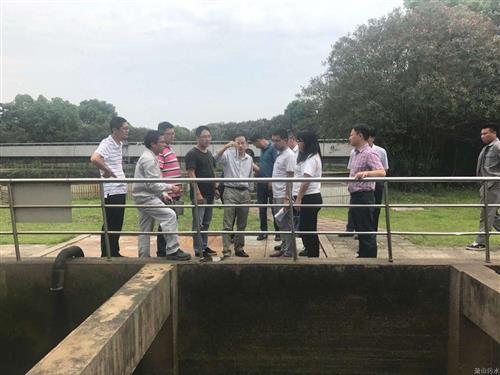 环保部华东督查组莅临钱江厂检查指导 - 77779193永利官网新闻 - 杭州萧山情形集团有限公司