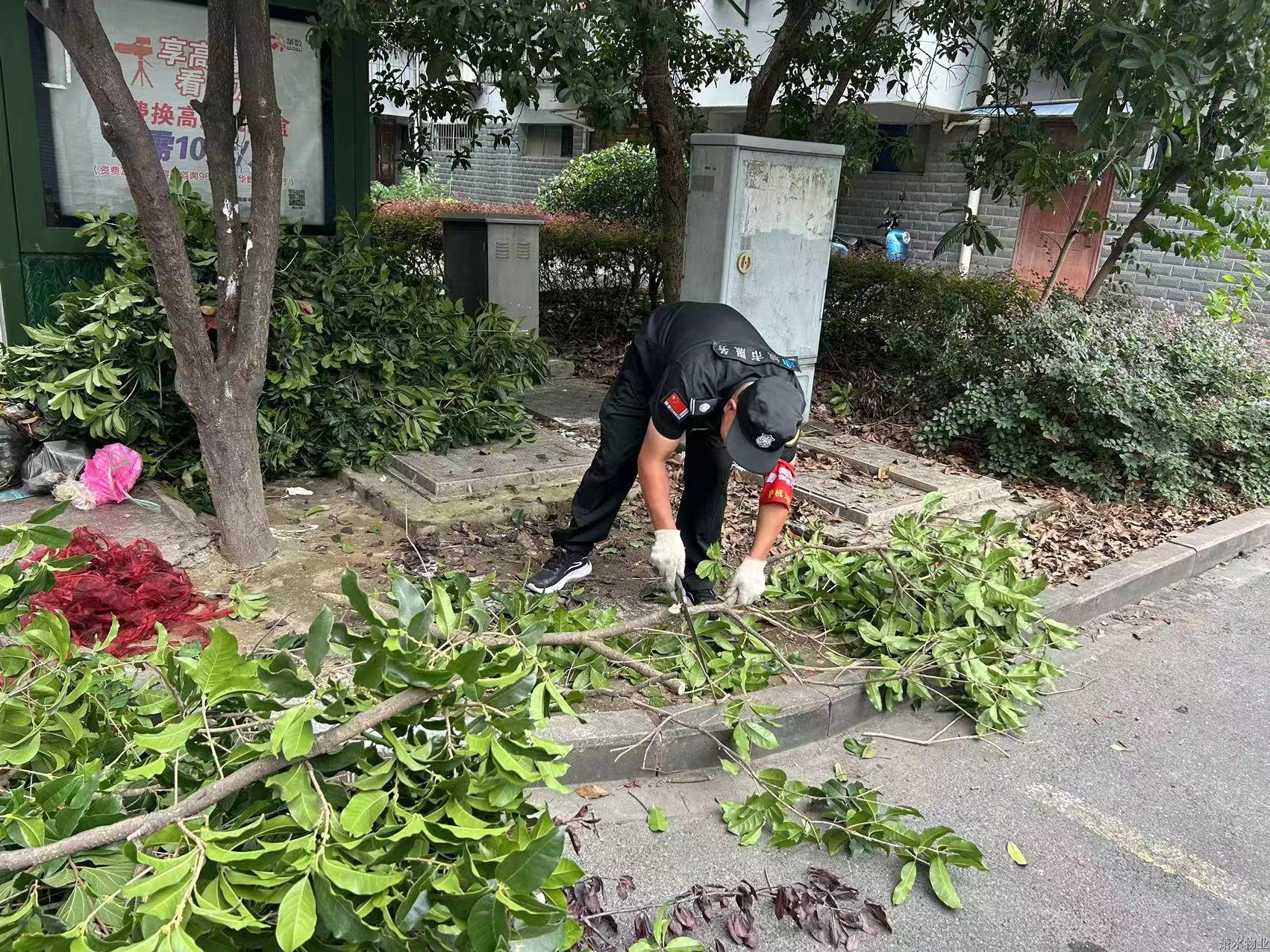 “洁”尽全力 守护优美 | 绣出高颜值，，，，焕新老小区